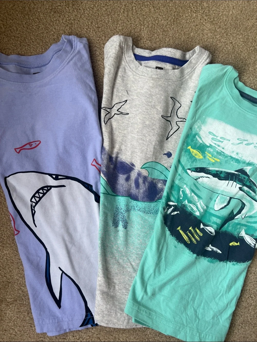 Tea Collection Short Sleeve Shark Tees - Lavender, Gray, Aqua